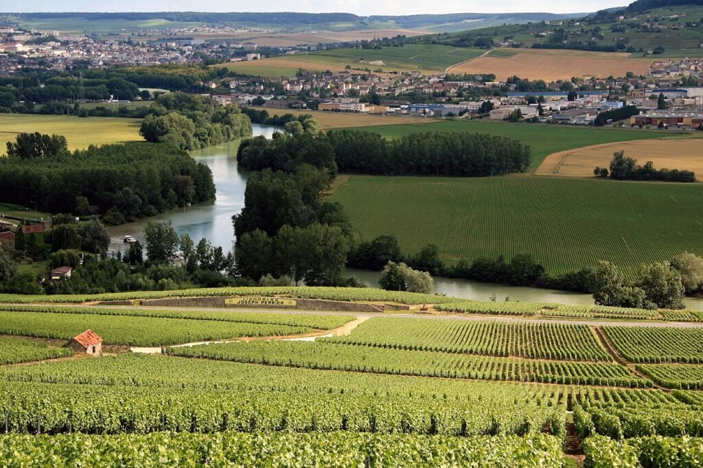 Coteaux, maisons et caves de Champagne : un patrimoine mondial au service de l’économie régionale