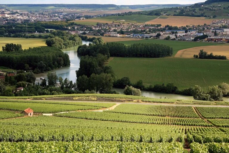 Coteaux, maisons et caves de Champagne : un patrimoine mondial au service de l’économie régionale