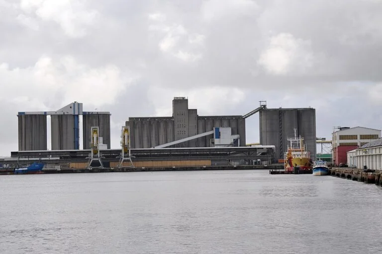 Créer son entreprise au Havre : le port, la mer et un réseau d’accompagnement solide